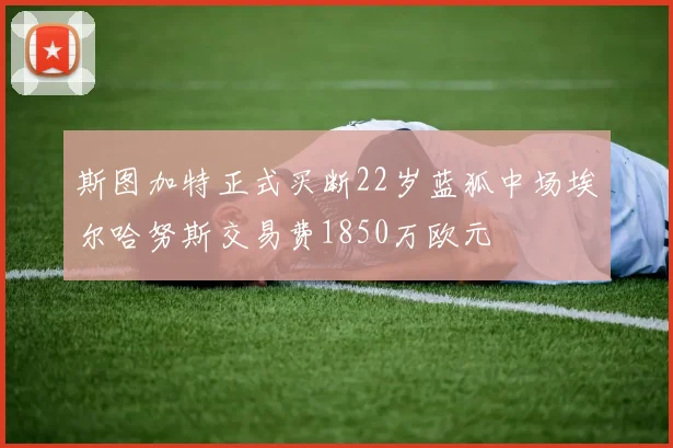 斯图加特正式买断22岁蓝狐中场埃尔哈努斯交易费1850万欧元